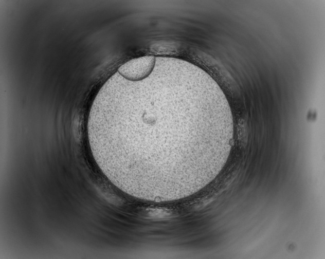 X0000103410741200810241208