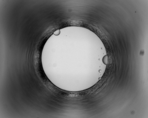 X0000103410744200810241208