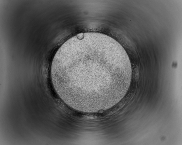 X0000103410746200810241208