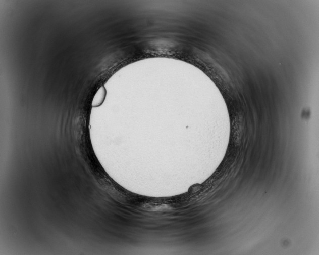 X0000103410747200810241208