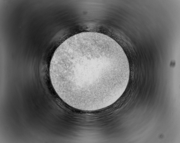 X0000103410748200810241208