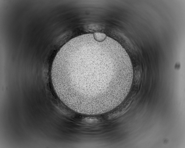 X0000103410749200810241208