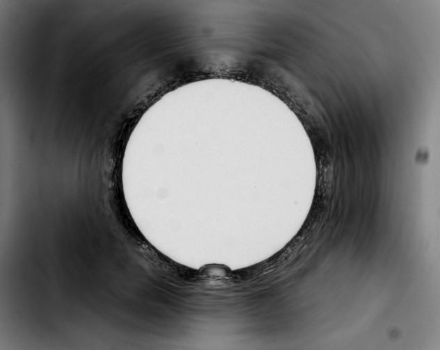 X0000103410750200810241208