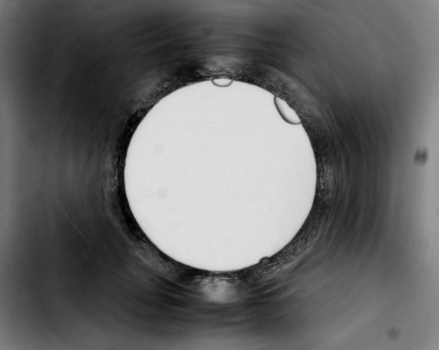 X0000103410751200810241208