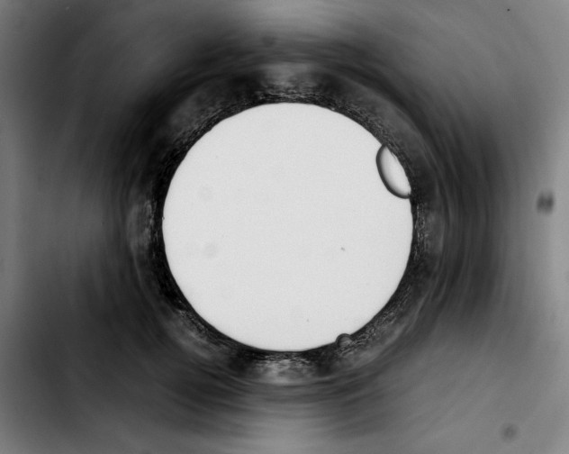 X0000103410752200810241208