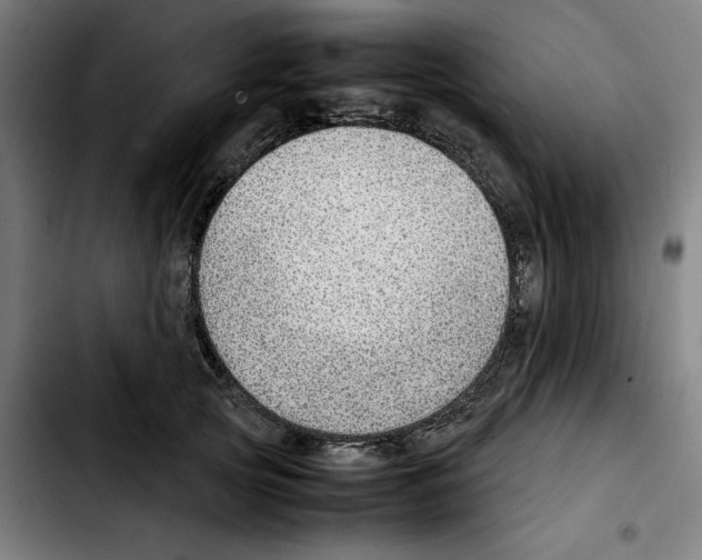 X0000103410753200810241208