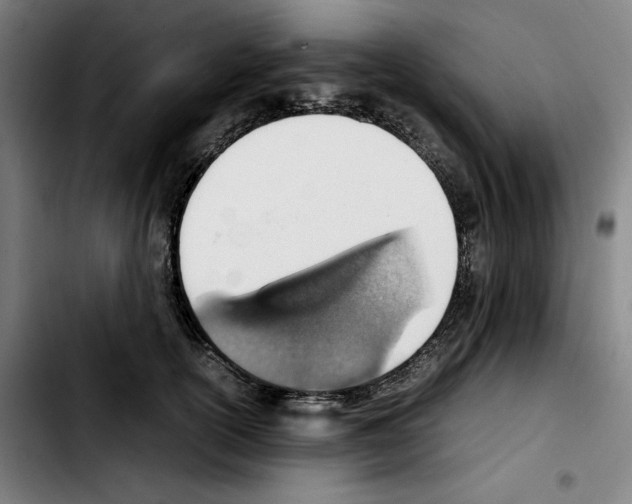 X0000103410754200810241208