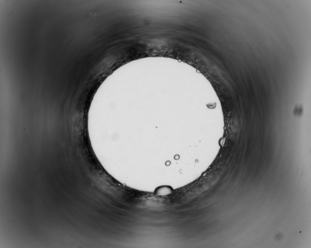 X0000103410756200810241208