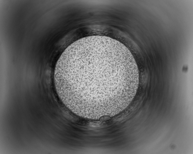 X0000103410757200810241208