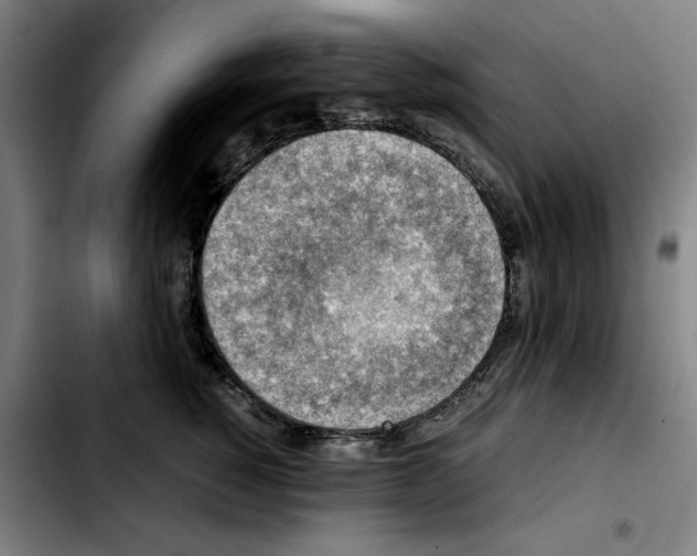 X0000103410760200810241208