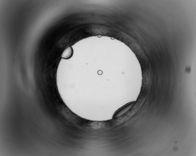 X0000103410762200810241208