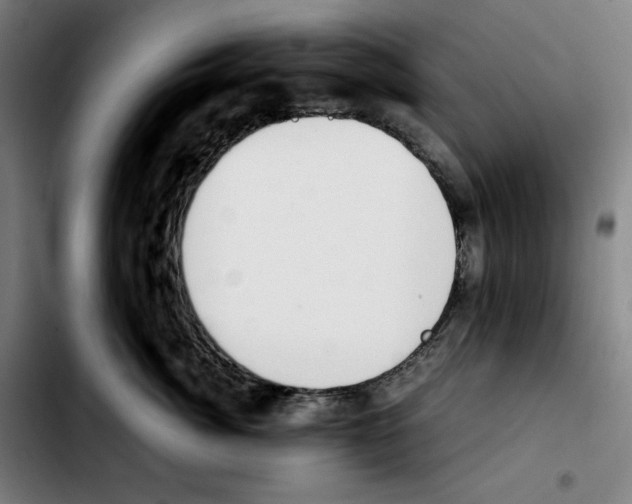 X0000103410764200810241208