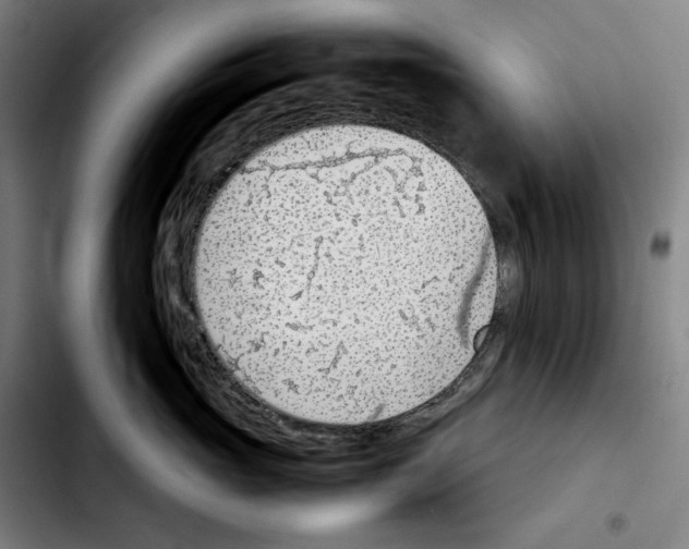 X0000103410765200810241208