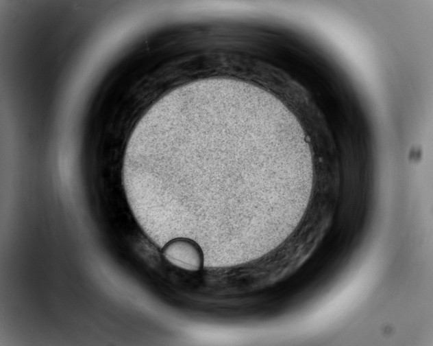 X0000103410766200810241208