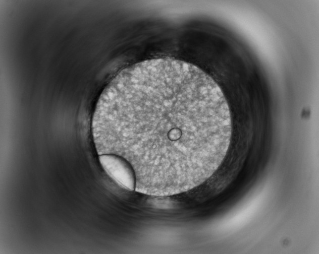 X0000103410767200810241208