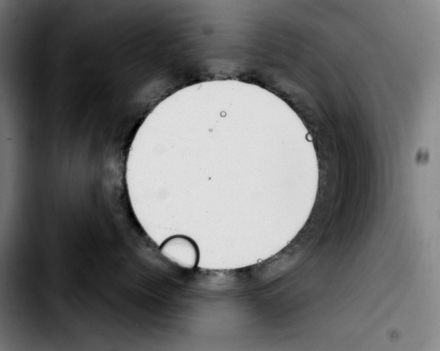 X0000103410768200810241208