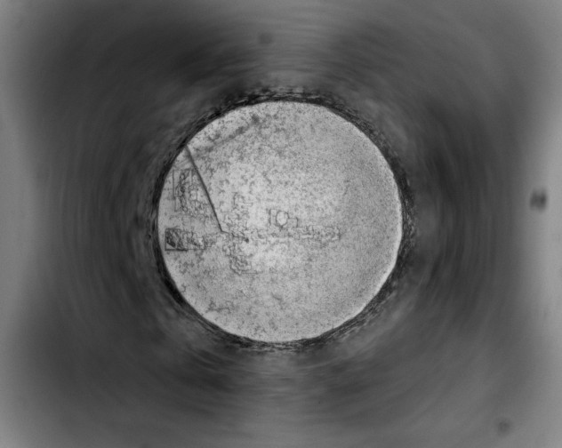 X0000103410769200810241208