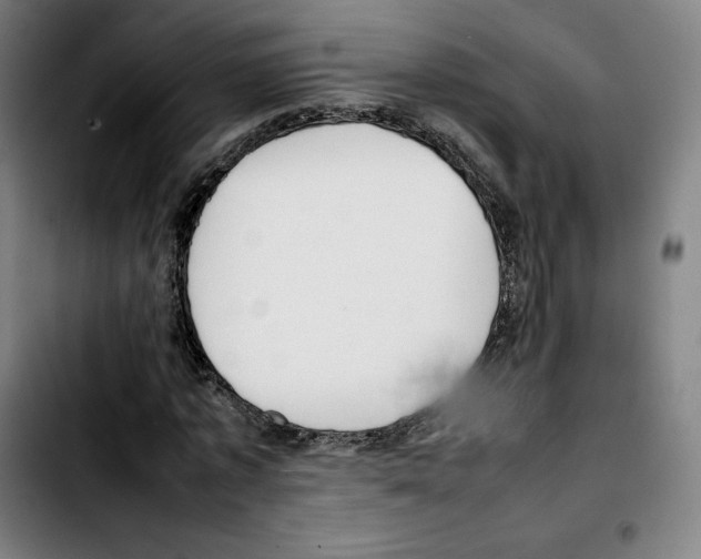 X0000103410773200810241207