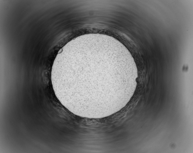 X0000103410774200810241207