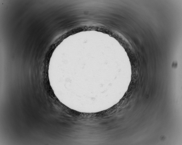 X0000103410775200810241207