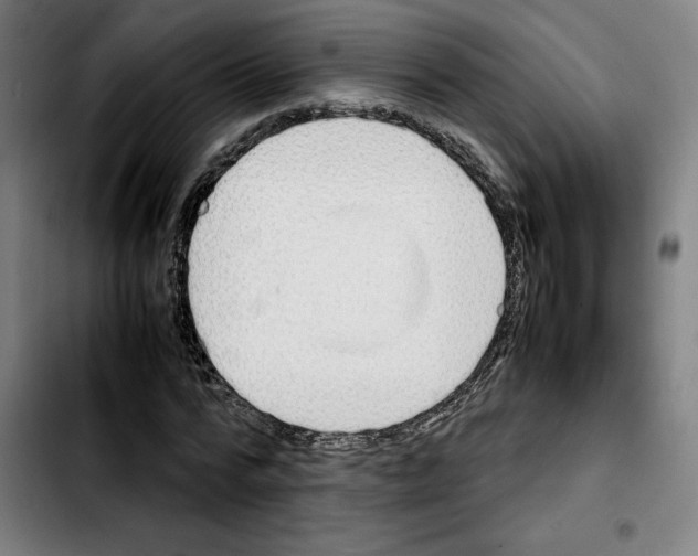 X0000103410776200810241207