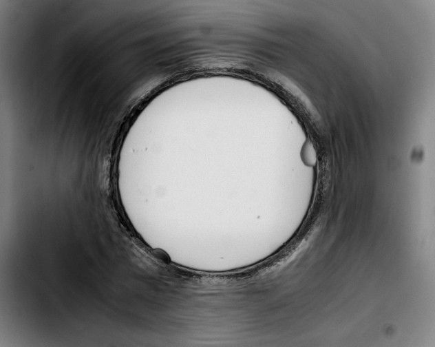 X0000103410777200810241207