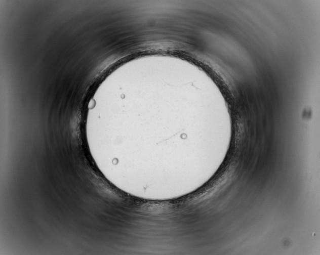 X0000103410778200810241207