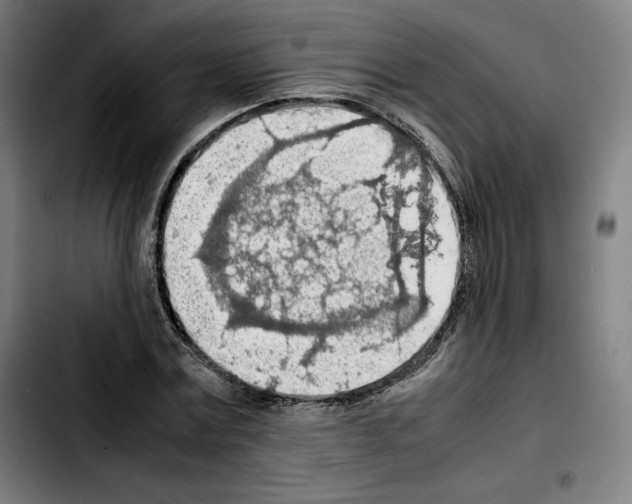 X0000103410779200810241207