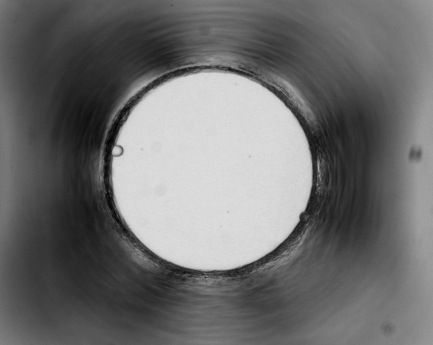 X0000103410780200810241207