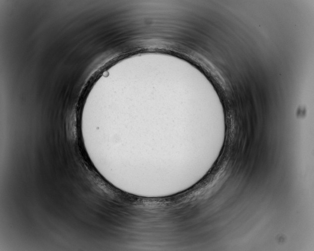 X0000103410782200810241207