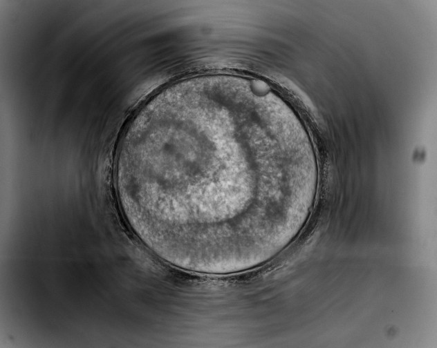 X0000103410785200810241207