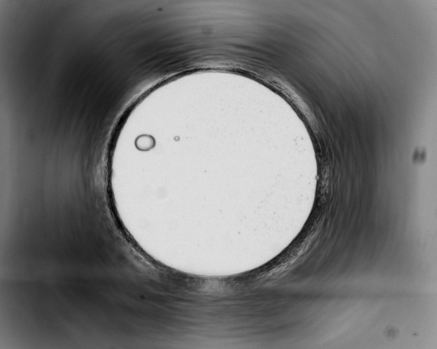 X0000103410787200810241207