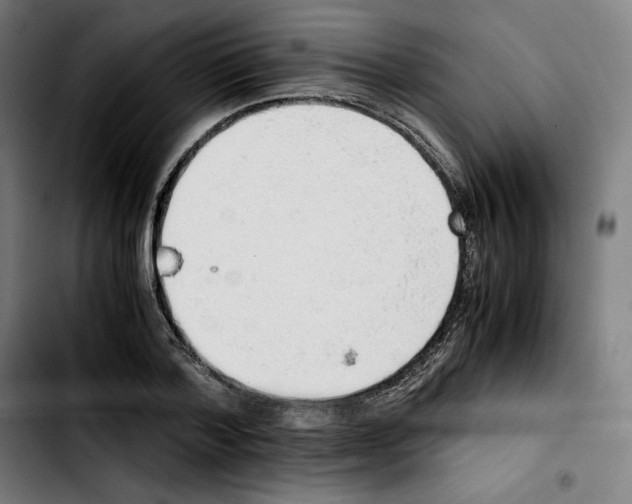 X0000103410788200810241207