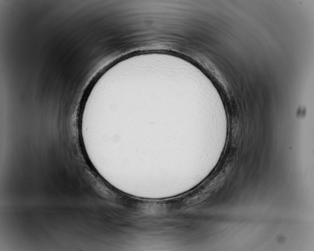 X0000103410789200810241207