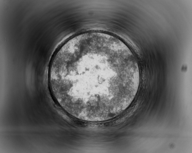 X0000103410790200810241207