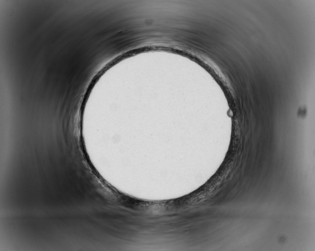 X0000103410791200810241207