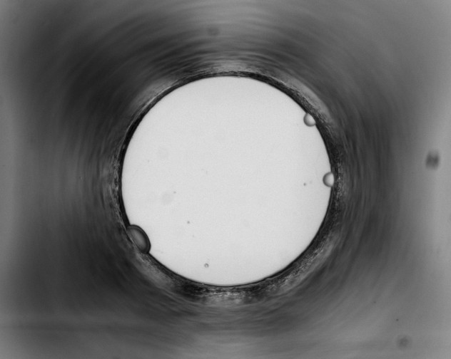 X0000103410793200810241207