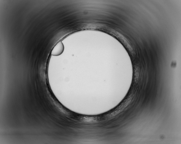 X0000103410794200810241207