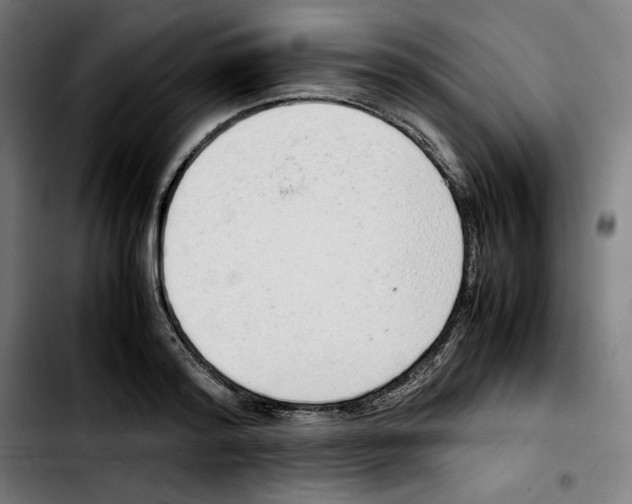 X0000103410796200810241207