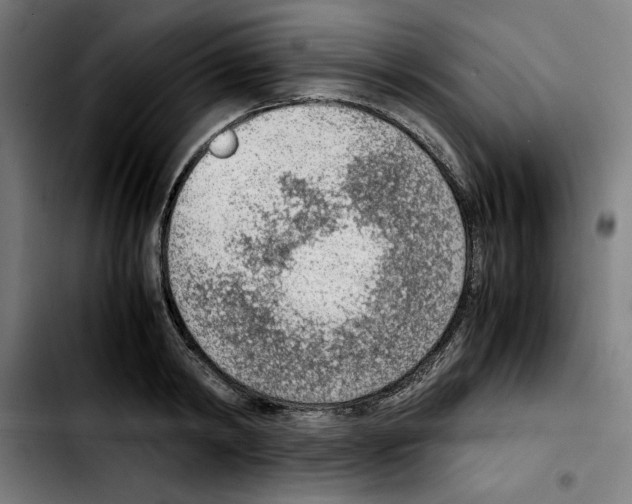 X0000103410798200810241207