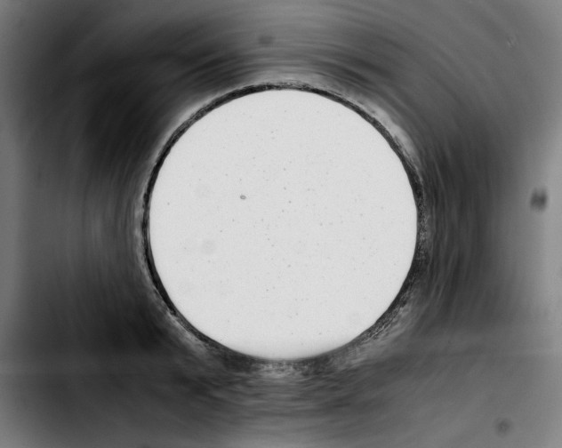 X0000103410799200810241207