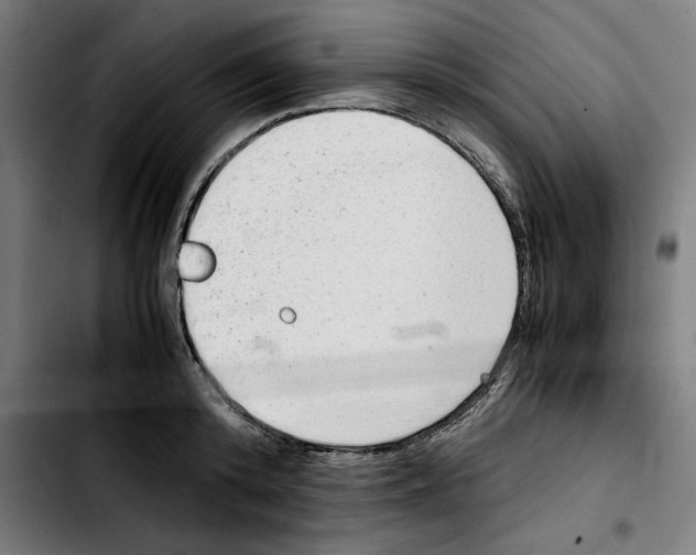 X0000103410800200810241207