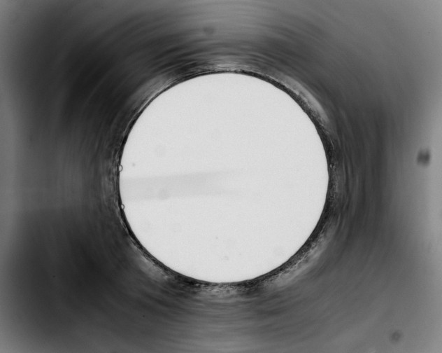 X0000103410801200810241207