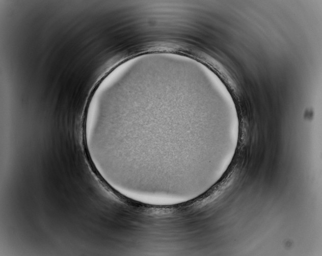 X0000103410802200810241207