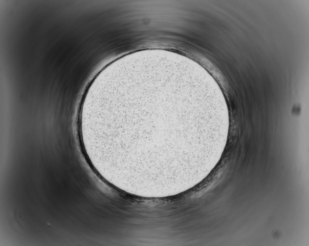 X0000103410803200810241207