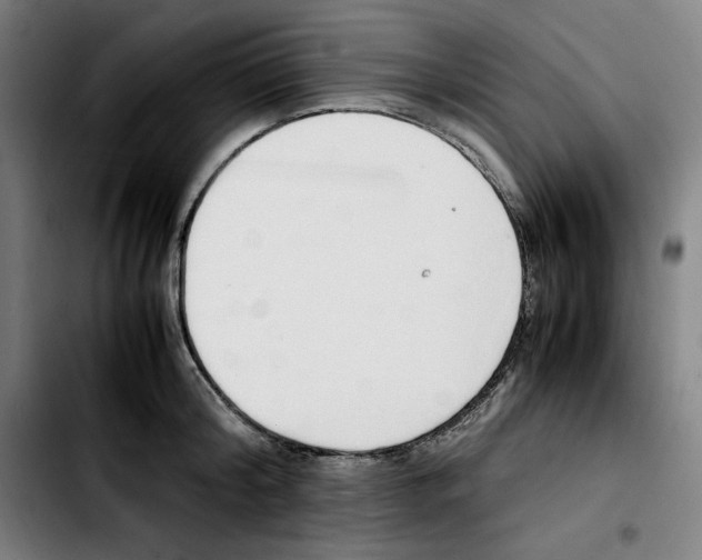 X0000103410804200810241207