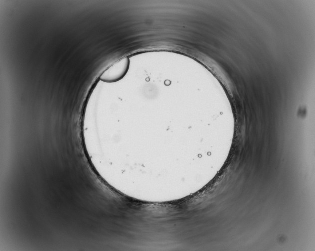 X0000103410805200810241207