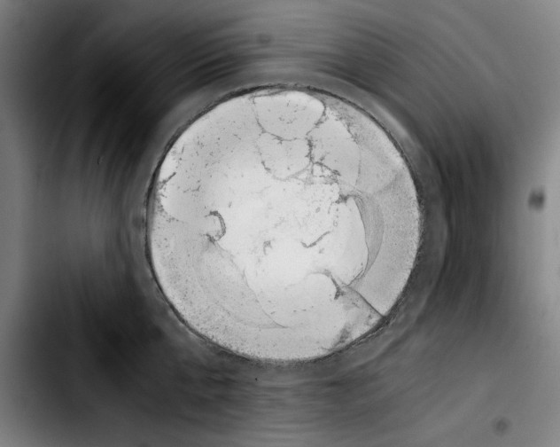 X0000103410807200810241207