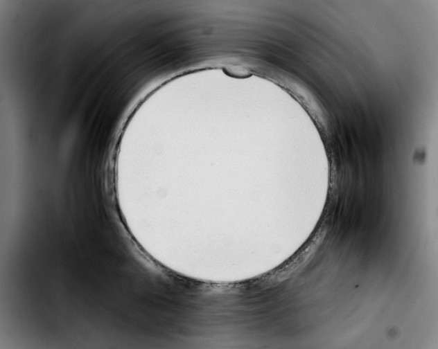 X0000103410808200810241207