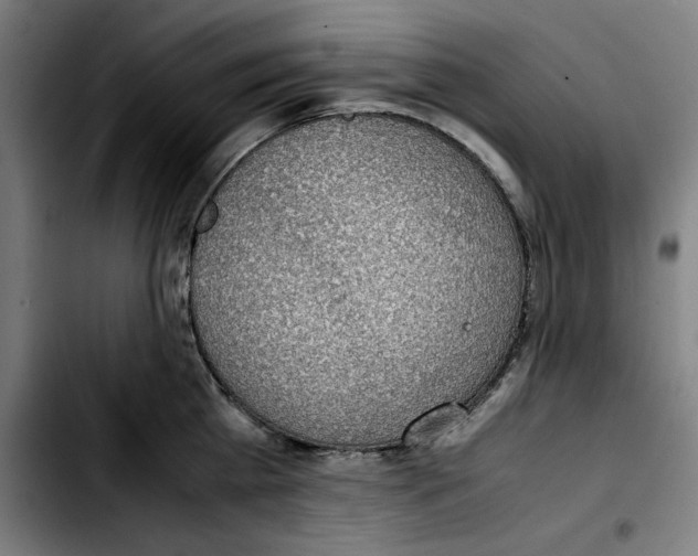 X0000103410809200810241207